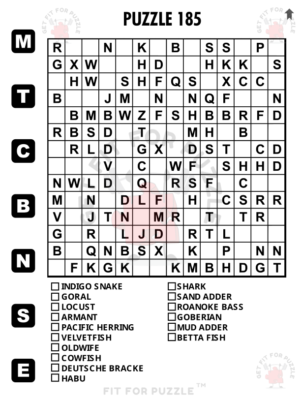 ANIMALS 400 No Vowels Wordsearch Puzzles For Adults - Fit For Puzzle Edition_200