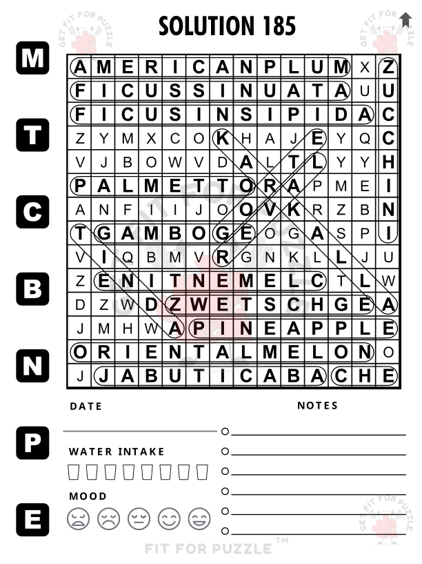 FRUITS AND VEGETABLES 400 No Vowels Wordsearch Puzzles For Adults 600