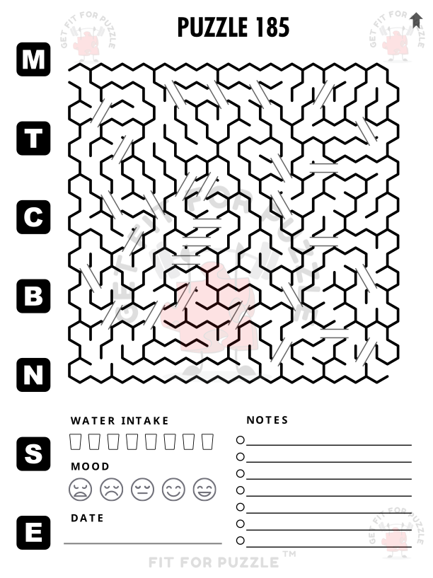 HEXAGON BRIDGE MAZES 400 Fit For Puzzle Edition_200