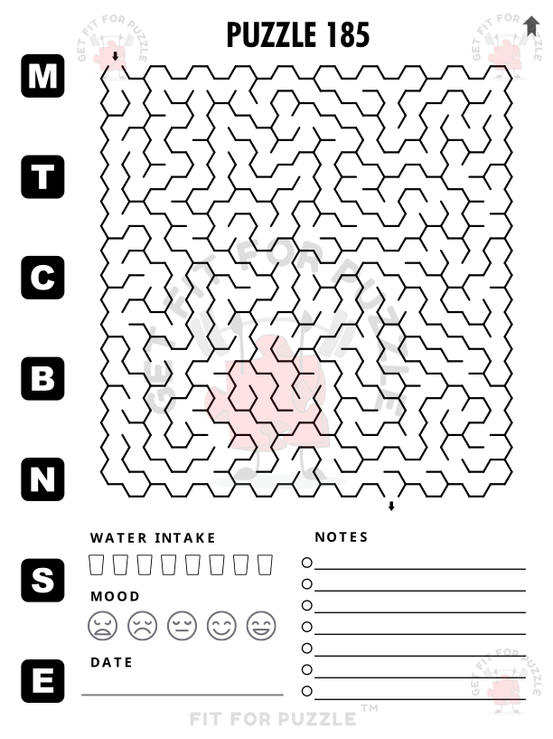 HEXAGON MAZES 400 Fit For Puzzle Edition_200