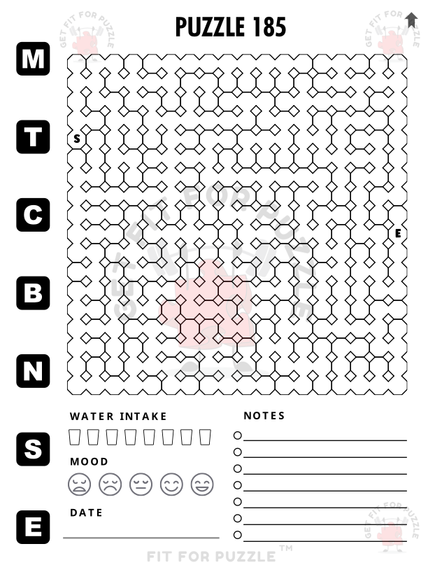 OCTAGON MAZES 400 Fit For Puzzle Edition_200