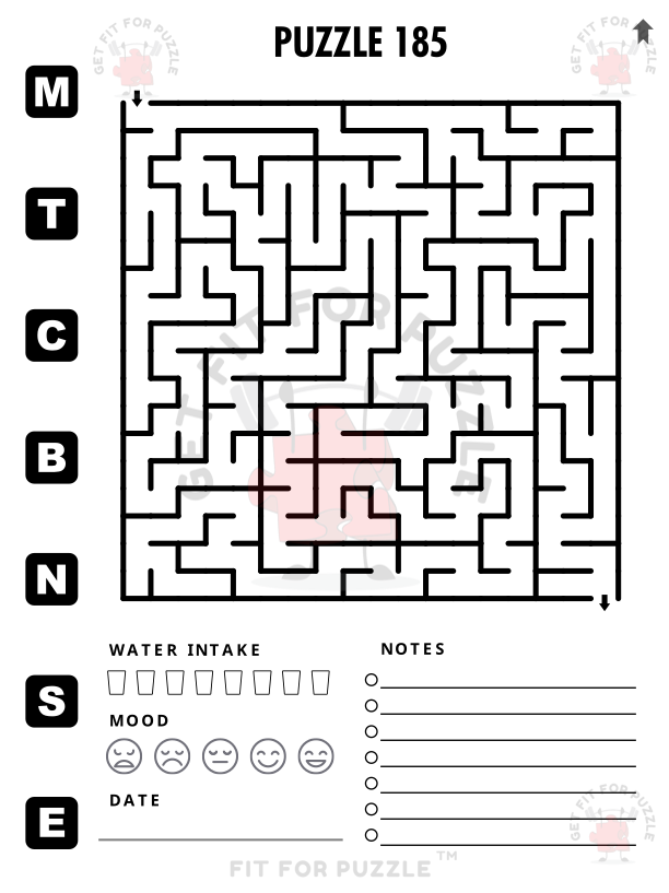 SQUARE MAZES RECTANGLE GRID 400 Fit For Puzzle Edition_200