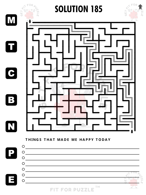 SQUARE MAZES RECTANGLE GRID 400 Fit For Puzzle Edition_600