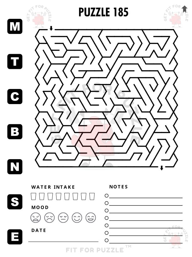 SQUARE MAZES TRIANGLE GRID 400 Fit For Puzzle Edition_200