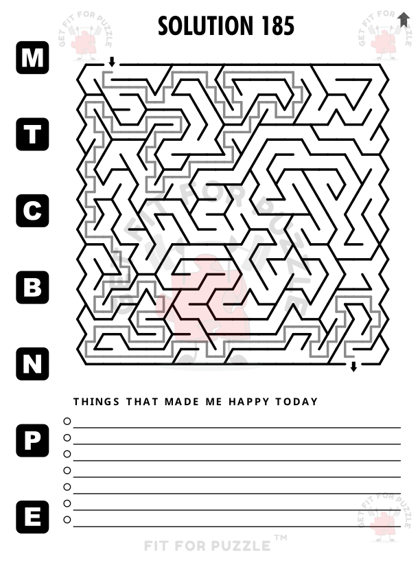 SQUARE MAZES TRIANGLE GRID 400 Fit For Puzzle Edition_600