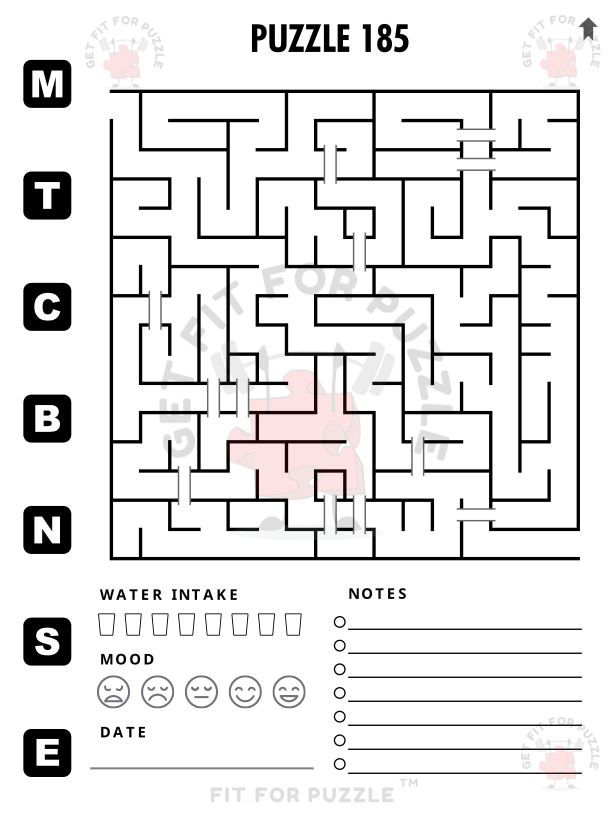 STRAIGHT BRIDGE MAZES 400 Fit For Puzzle Edition_200