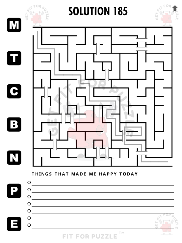 STRAIGHT BRIDGE MAZES 400 Fit For Puzzle Edition_600